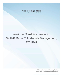 Quadrant Knowledge Solutions Metadata Management Spark Matrix 2024